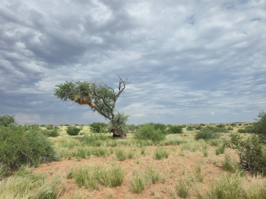 Commercial Property for Sale in Upington Rural Northern Cape